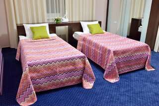 Отель Gosudar Hotel Кропивницкий Улучшенный двухместный номер с 2 отдельными кроватями-1